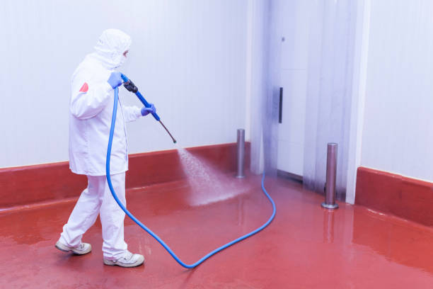 Best Warehouse Cleaning  in Boerne, TX